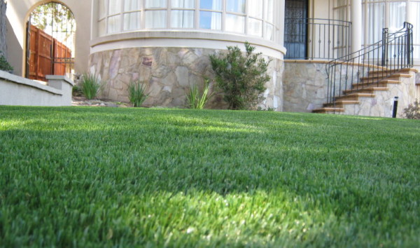 synthetic-grass-at-home